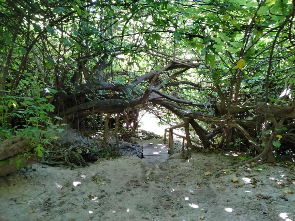 Alojamiento Rural, Cueva De La Abuela Cuevas del Campo Extérieur photo